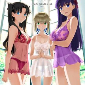 《ステイナイト》魔力不足を補うために戦いながらセイバーや凛、桜とハメ乱れる士郎・・英雄王も本当は羨ましかっただけじゃないの？ww